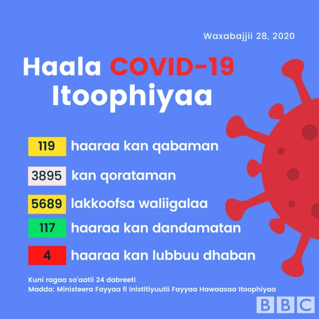 haala Itoophiyaa covid-19