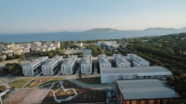 Şehir Üniversitesi
