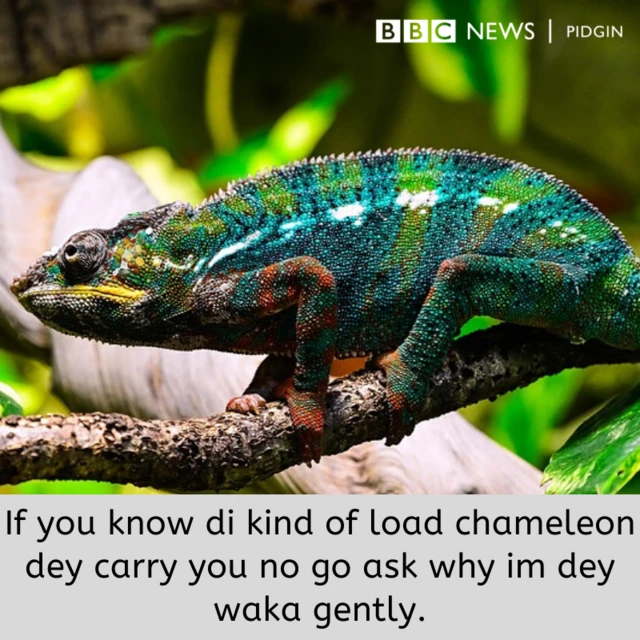 Proverb of di day