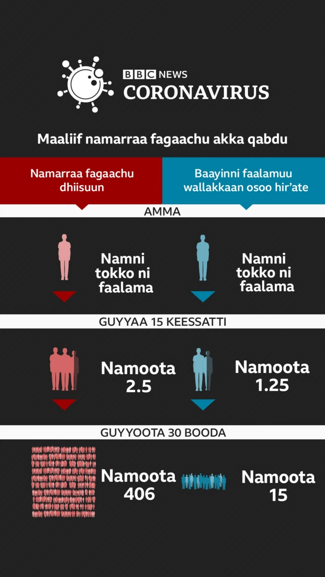 Fageenya eeggachuun maaliif barbaachisa
