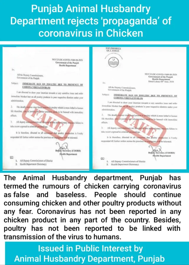 Chicken, coronavirus