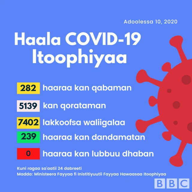 Haala Covid-19 Itoophiyaa