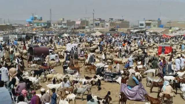 QUETTA