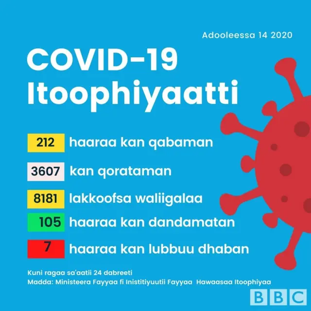 Odeeffannoo Covid-19 lakkoofsaan