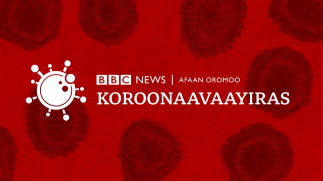 Koronaavaayirasii