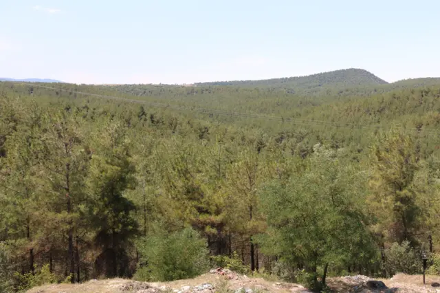 sinop