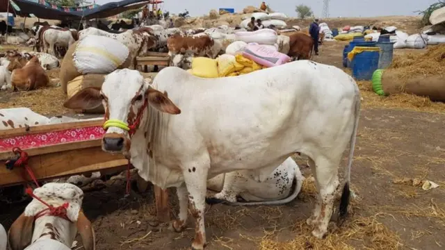 پاکستان میں عید پر تفرتحی مقامات کا رُخ نہ کرنے کی ہدایت