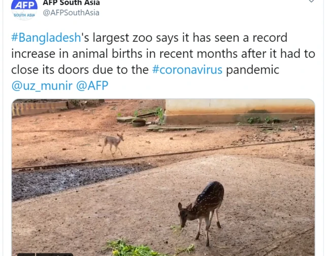 Dhaka Zoo