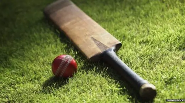 Cricket