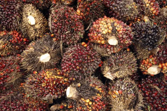 Nkwụ