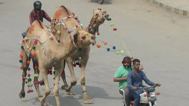 पाकिस्तान