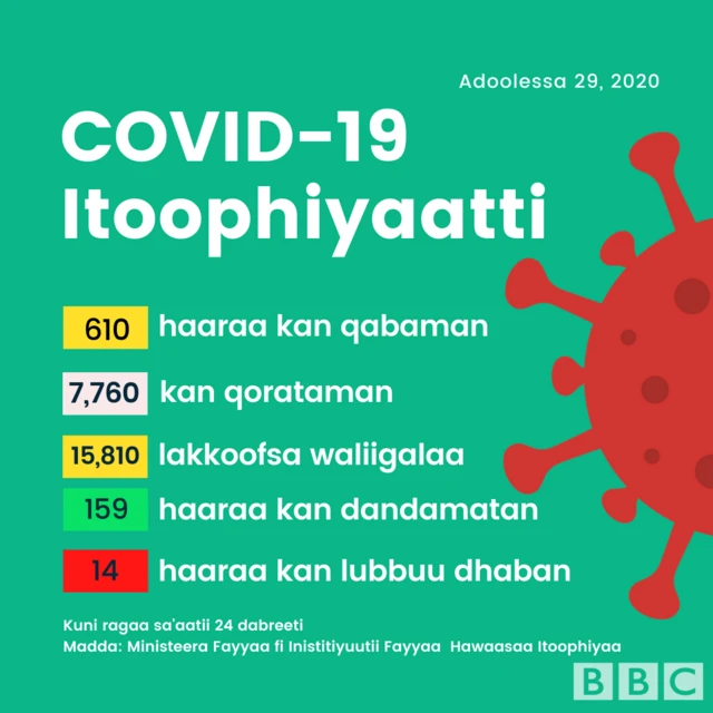 Haala Itoophiyaa