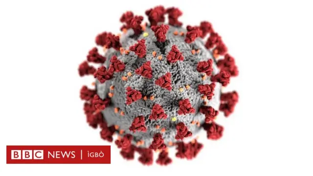 Nje Coronavirus