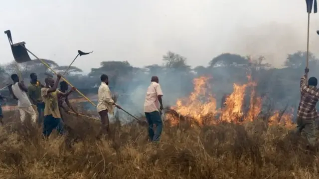 HIFADHI YA WANYAMAPORI KENYA