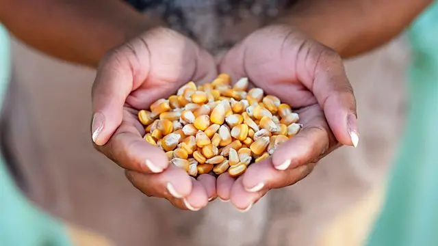 kilimo