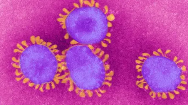 coronavirus