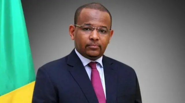 Boubou Cissé, Premier ministre du Mali