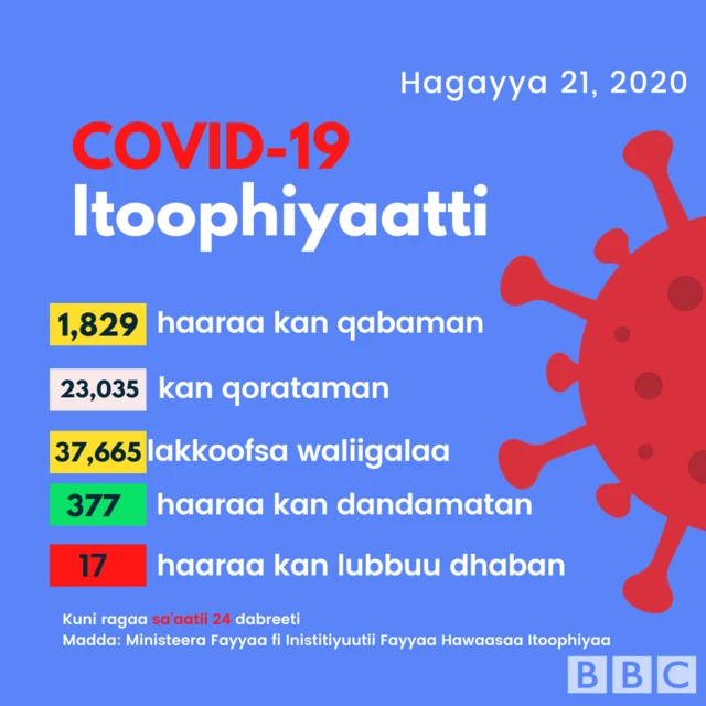 Covid-19