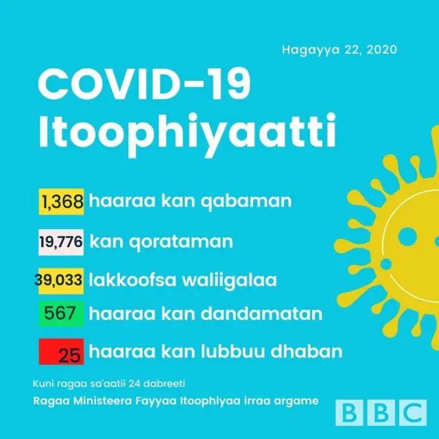 Haala guyyaa