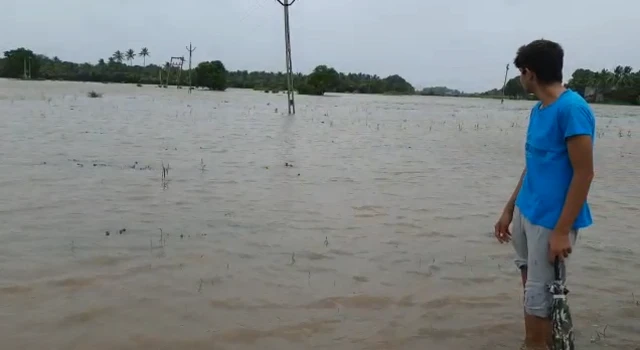 ગુજરાતમાં વરસાદ