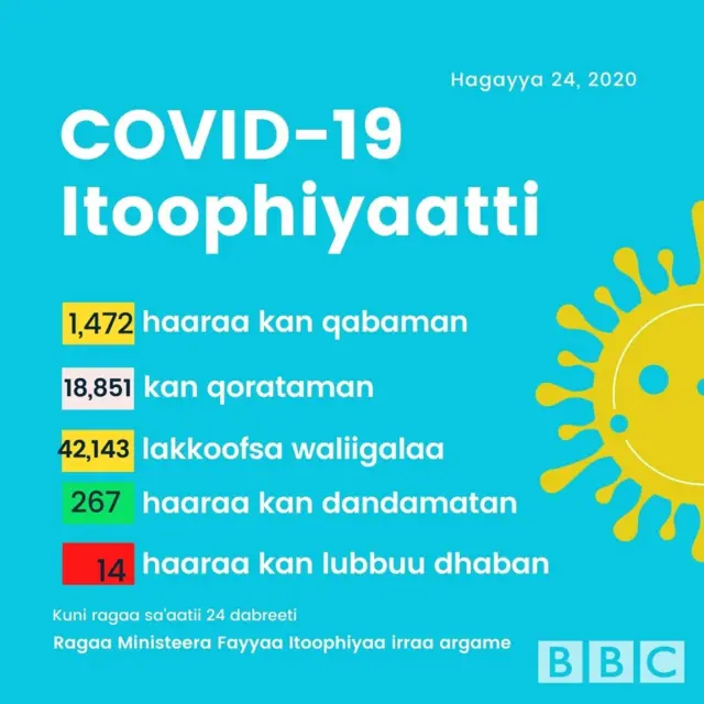 Ibsa Ministeera Fayyaa