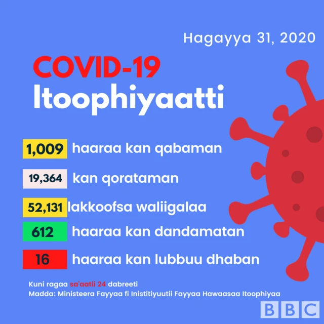 Haala Itoophiyaa