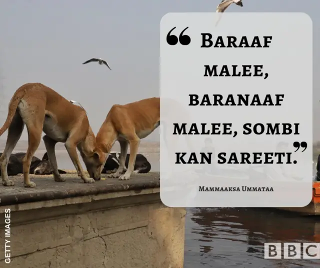 Mammaaksa BBC