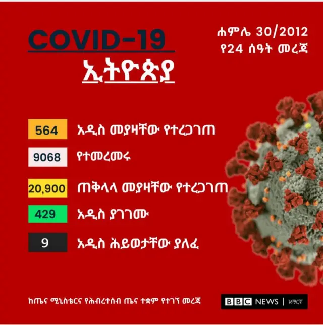 የኮሮናቫይረስ ሁኔታ መግለጫ