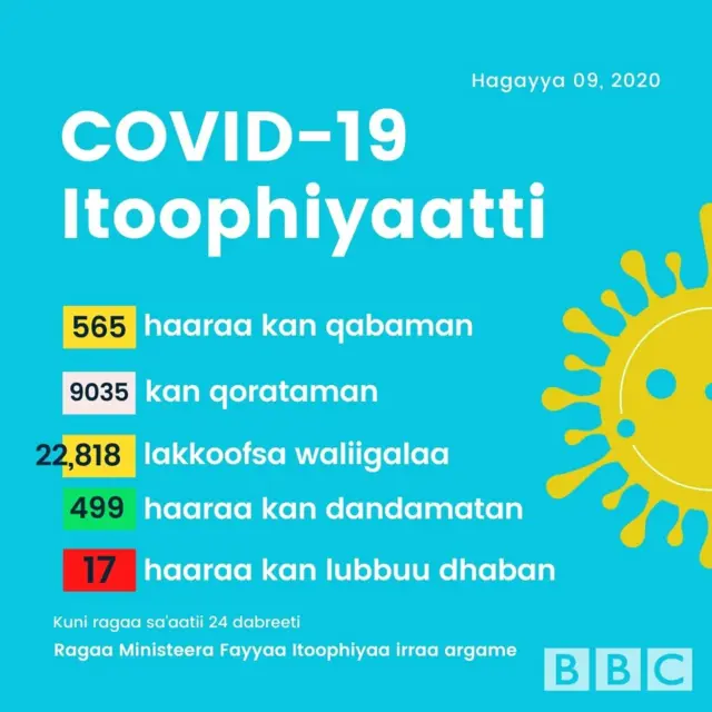 Haala Covid-19 harraa