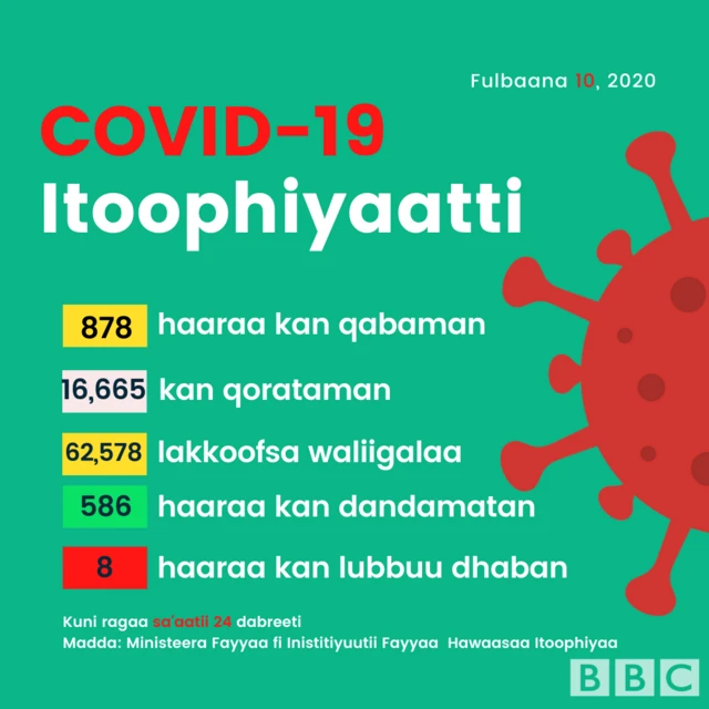 Covid-19
