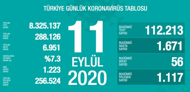 Günlük koronavirüs verileri