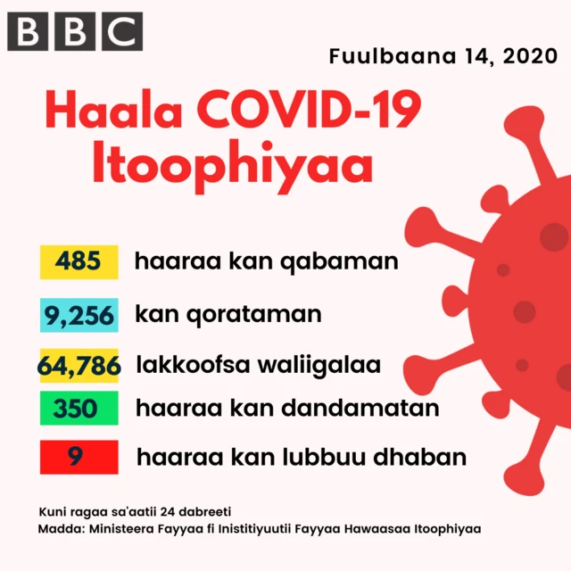 haala covid-19