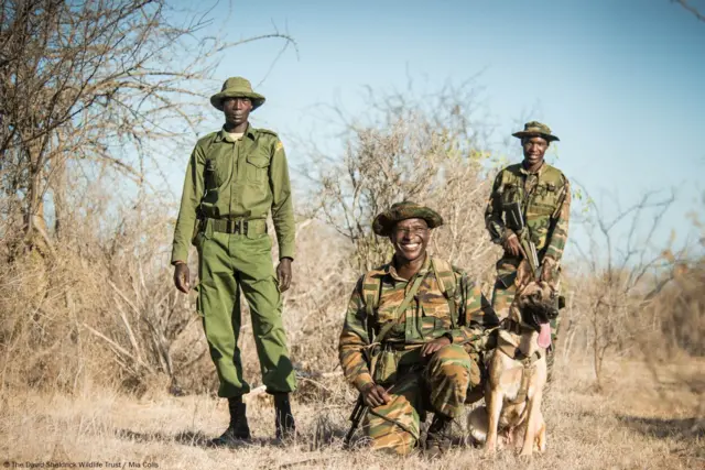 Walinzi wa mbuga
