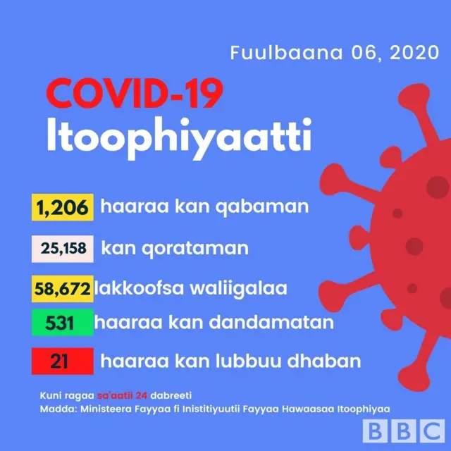 Haala guyyuu Itoophiyaa