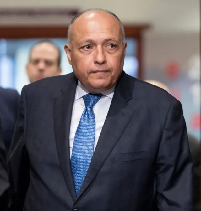 سامح شكري