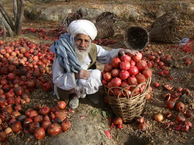 افغانستان
