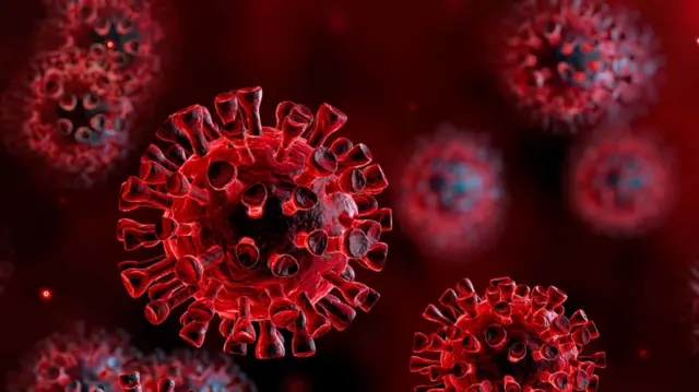 Coronavirus