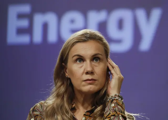 यूरोपीय संघ के ऊर्जा मामलों की कमिश्नर कादरी सिम्सन