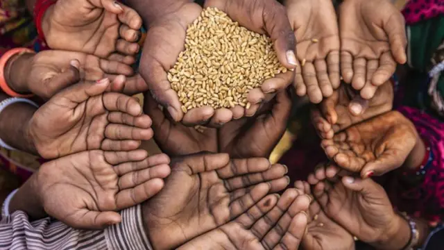 தானியம் ஏந்திய கைகளும், ஏங்கும் கைகளும்.
