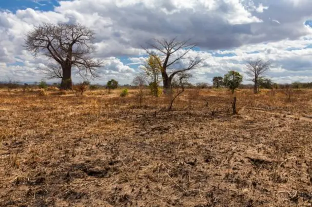 Afrika imechangia 4% tu ya uzalishaji wa hewa chafu duniani