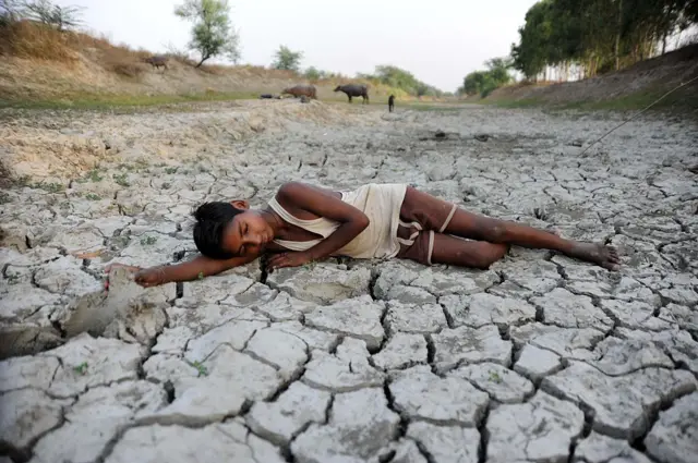 सांकेतिक तस्वीर