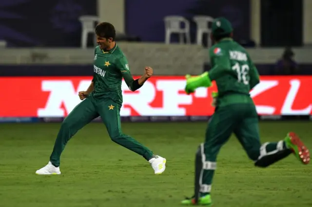 cricket