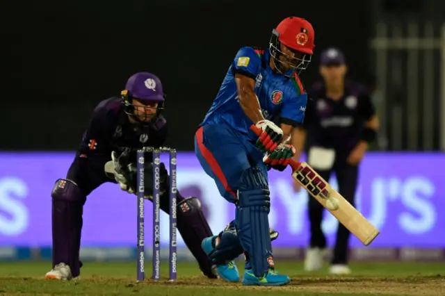 cricket