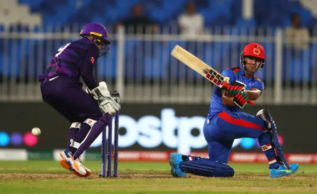 cricket