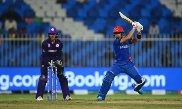 cricket