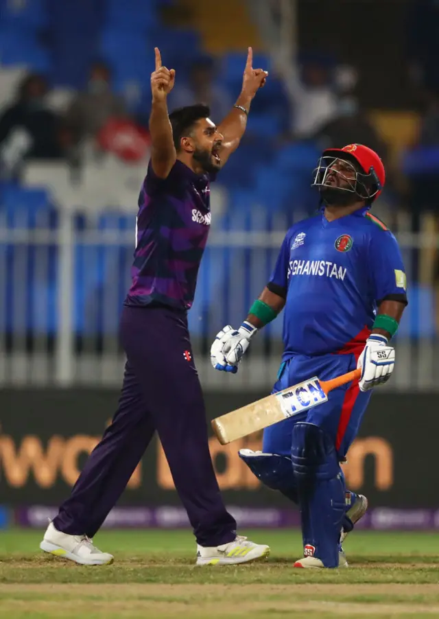 cricket