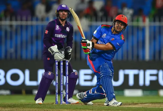 cricket