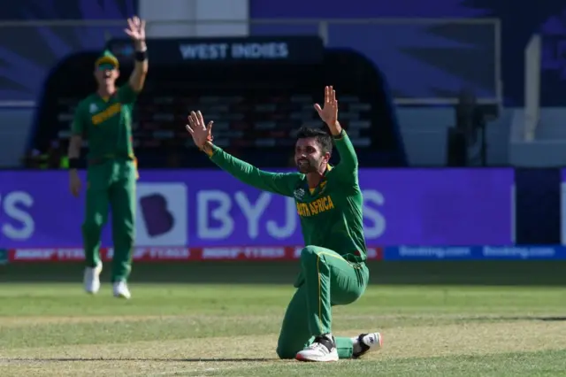 cricket