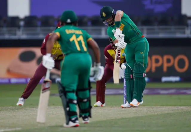 cricket