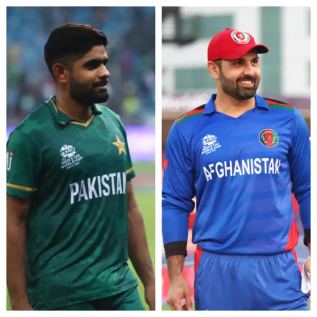cricket